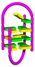 dna